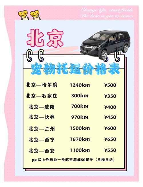 dnf2013春节宠物?dnf18年春节宠物-第2张图片-南方游戏 dnf2013春节宠物?dnf18年春节宠物-第2张图片-南方游戏