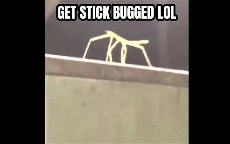 英雄联盟搞笑视频？英雄联盟搞笑视频第一季第4集-第6张图片-南方游戏