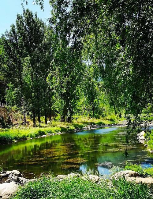 悟空影院神马影院、悟空电影网2021-第2张图片-南方游戏 悟空影院神马影院、悟空电影网2021-第2张图片-南方游戏